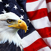 USA flag with eagle